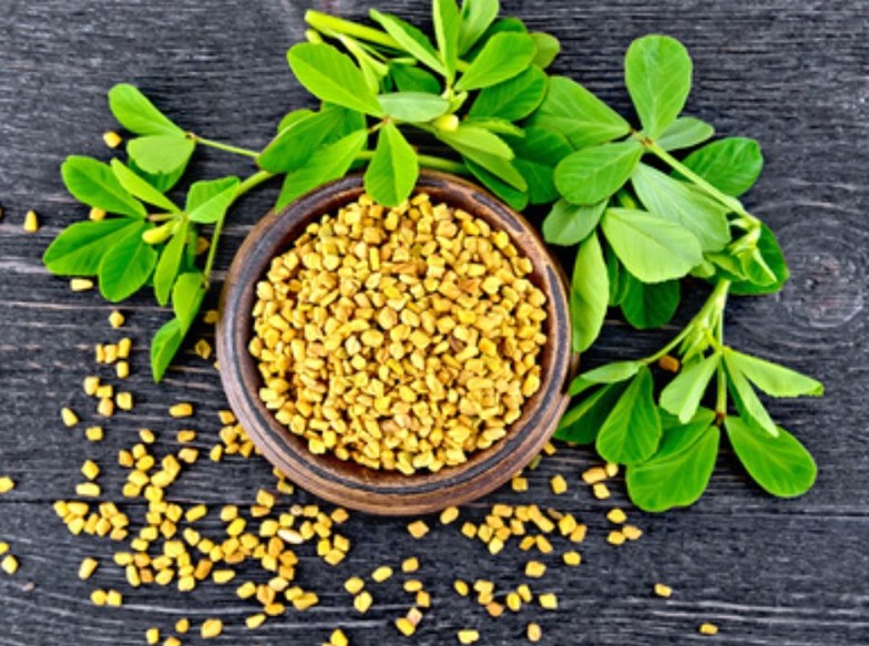 Fenugreek-1