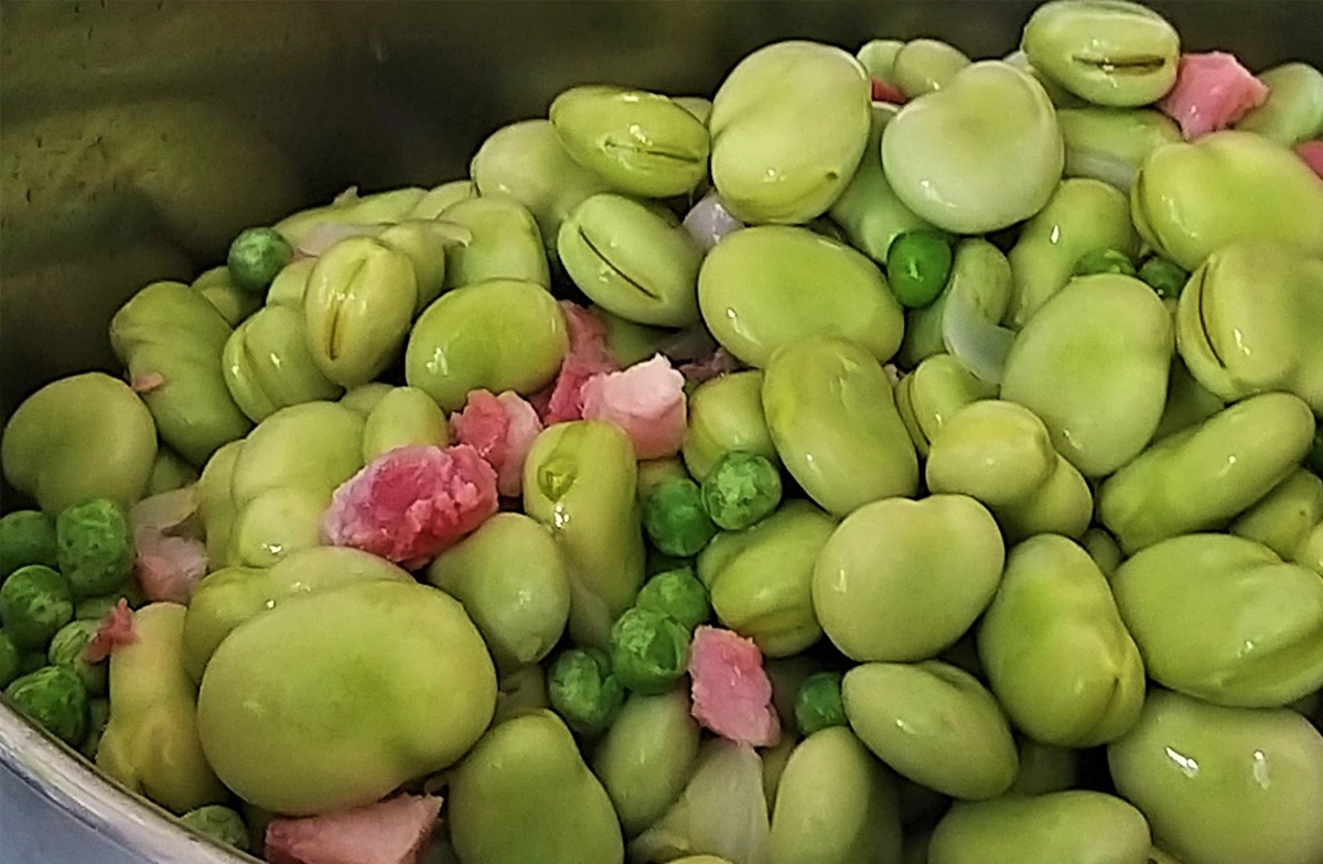 broad-bean-_20230301-001511_1